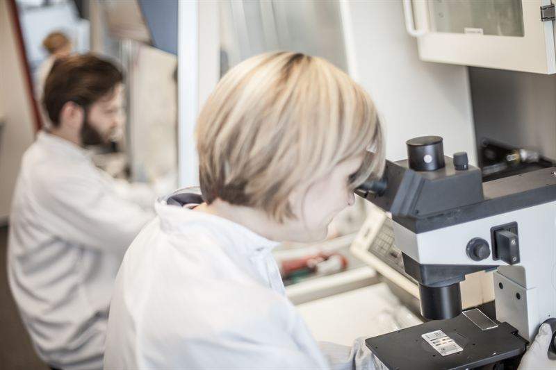 Researchers at Lund University evaluated SenzaGen's GARDpotency test