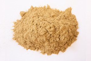 A forgotten ancient marine material is entering modern skincare