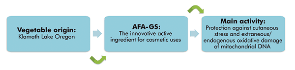 What is AFA-GS and how does it work?