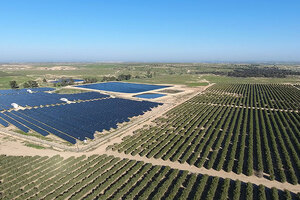 Addressing Trade Instability: Jojoba Desert Sustainable Solutions for Cost and Quality Challenges