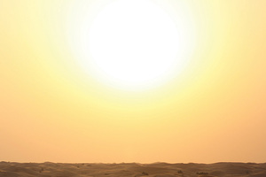 Africa ME - UAE: Sun Care Market Report 2017