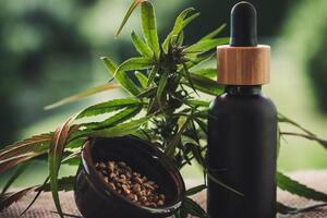 Amyris reaches new highs in CBD delivery for cosmetics products
