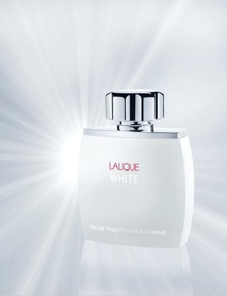 Art & Fragrance posts disappointing first half