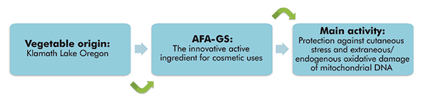 What is AFA-GS and how does it work?