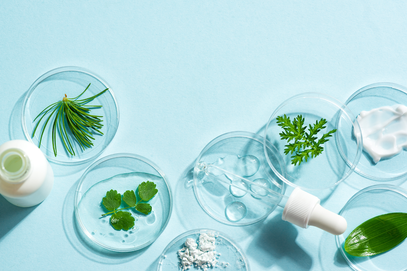 Amorepacific Targets Skin Gene Networks Through Strategic Biotech Investment In Junevity