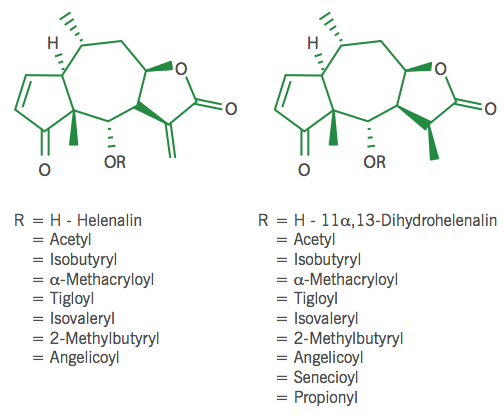 Figure 2 Helenalin and dihydrohelenalin and their esters