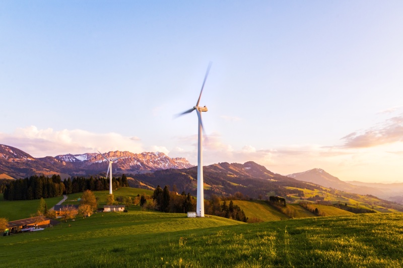 Beiersdorf makes switch to green energy

