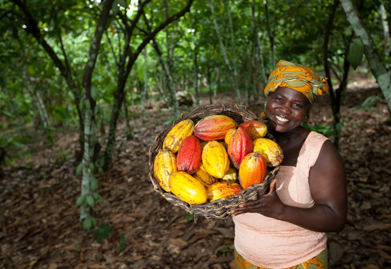 Cargill Beauty adds Sustainable Cocoa Butter to its line-up
