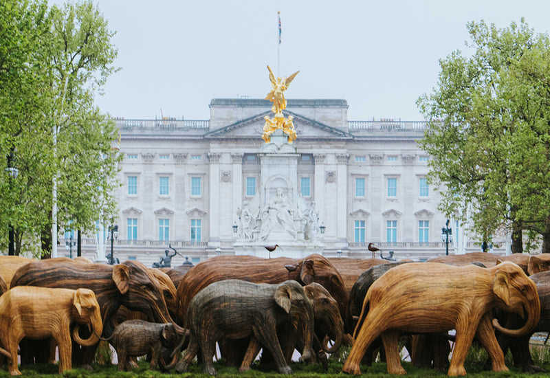 Chantecaille's life-size wooden elephants pictured outside Buckingham Palace, UK