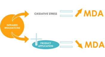 Dermscan Innovation: Assessment of infrared protection of cosmetic products 