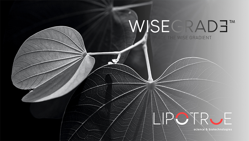 Embracing the wise and proageing gradient with Wisegrade