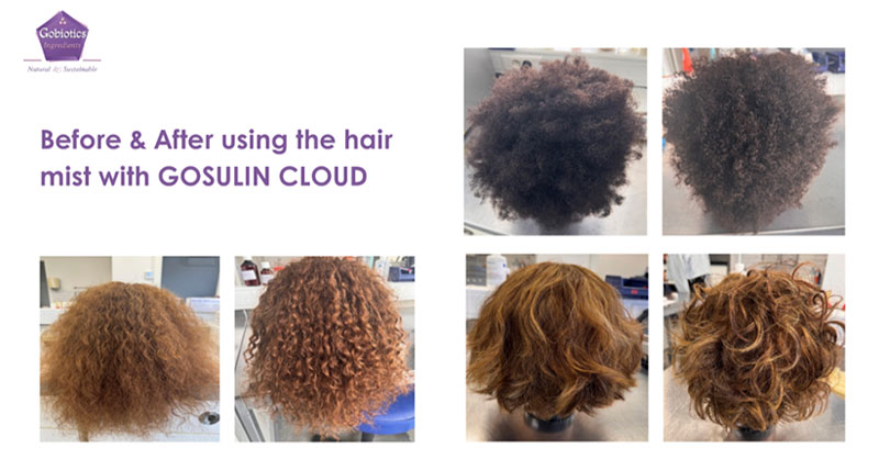 GOSULIN CLOUD – A sprayable cloud of natural hair-styling polymer