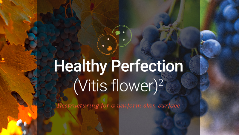 Grape cells for a uniform and radiant complexion: Healthy Perfection (Vitis flower)2
