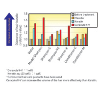 <h4>Figure 2: Volumising efficacy (2)</h3>