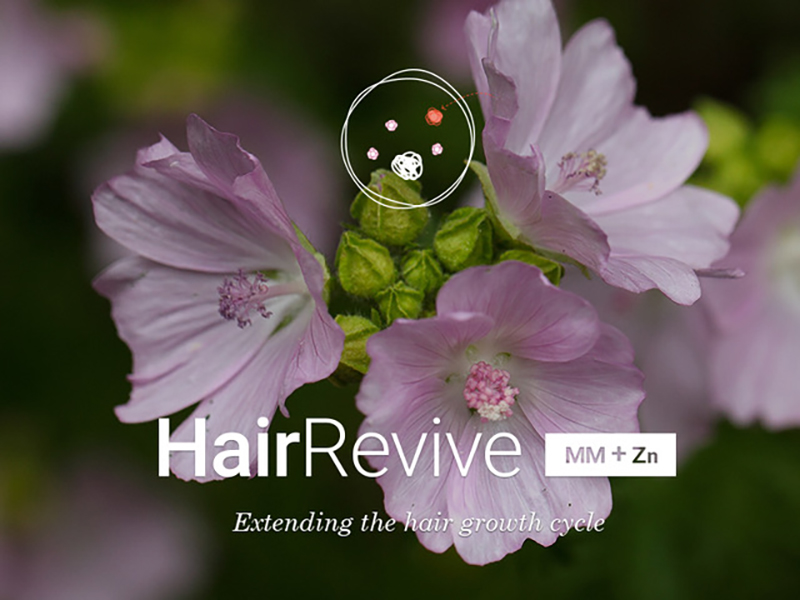 Hair Revive [MM+Zn] plant shell, to rejuvenate the hair and scalp