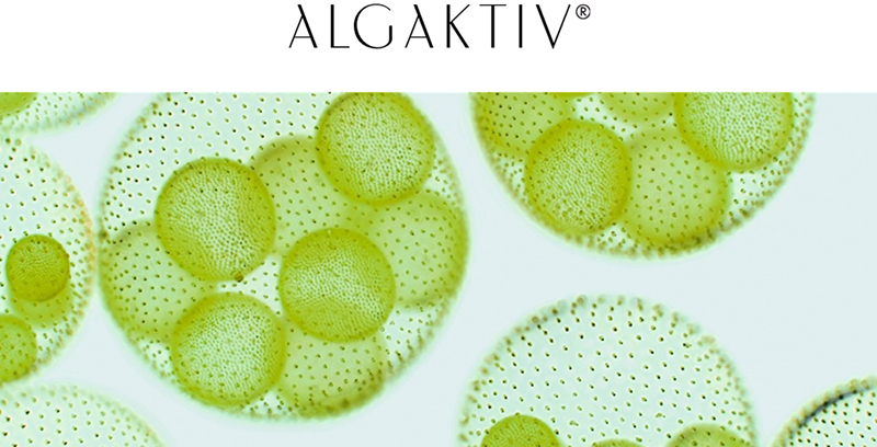 How Microalgae Technology is redefining the concept of Responsible Beauty