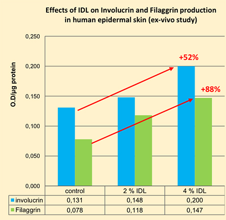 HydraSynol IDL: A smart barrier recovery and anti-ageing ingredient