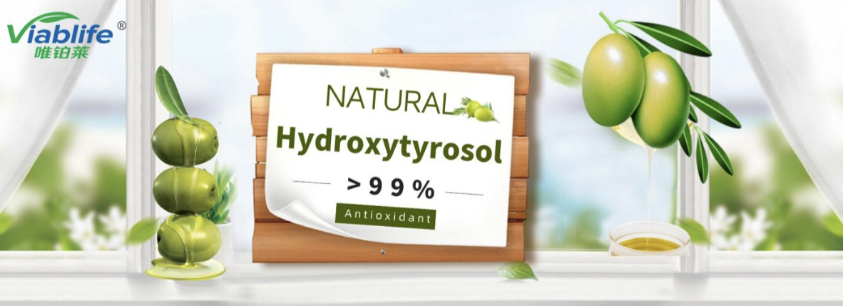 Hydroxytyrosol the Future of Health