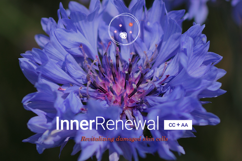 InnerRenewal [CC+AA], an active plant shell to revitalise damaged skin cells
