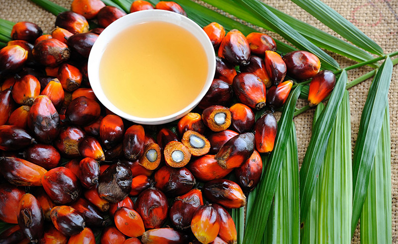 IOI Oleo switches production to RSPO MB materials