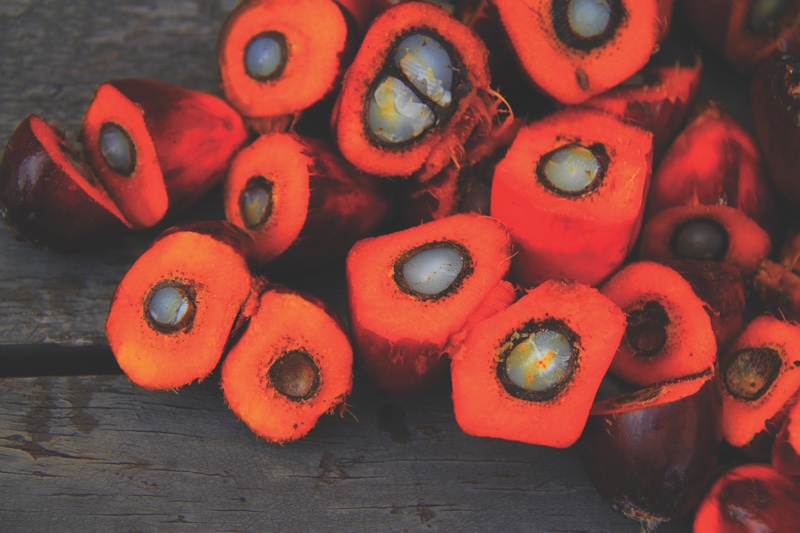 Is palm oil-free the future of beauty? 