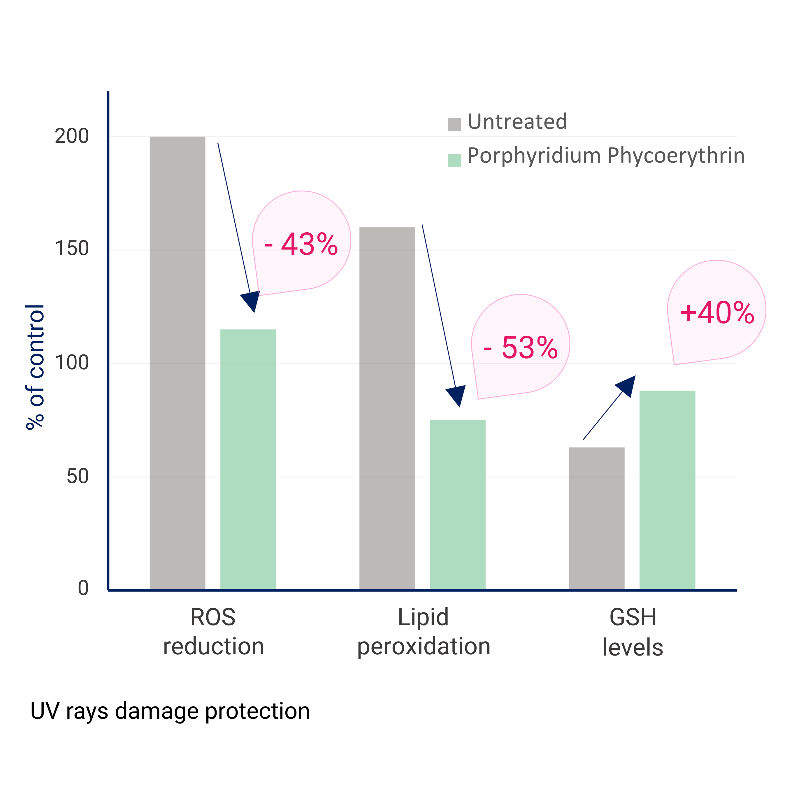 Lady Purple: Award winning upcycled microalgae