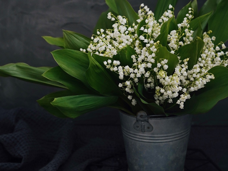 <i>Lilial or BMHCA provides a floral lily-of-the-valley note</i>