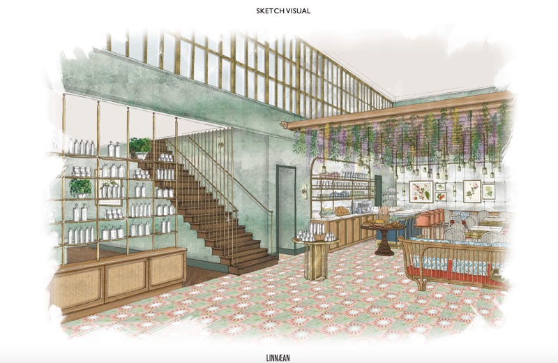 Linnaean brightens beauty high street with wellness-inspired concept store