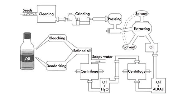 Vegetable oil production