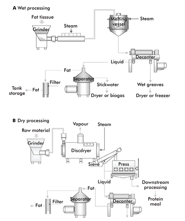 Wet and dry rendering processes