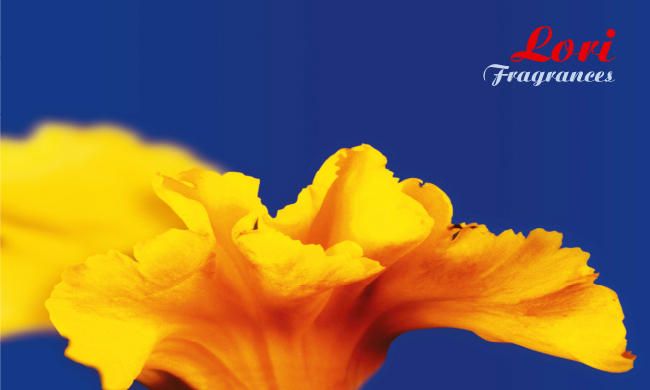 Lori Fragrances at In-Cosmetics, stand 1C10