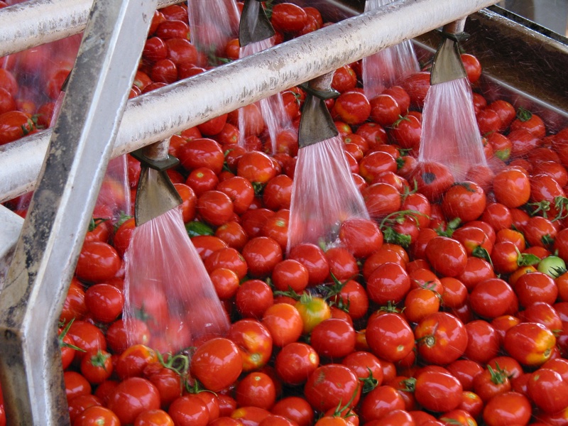 Lycored doubles lycopene production to keep up with ‘unprecedented’ demand
