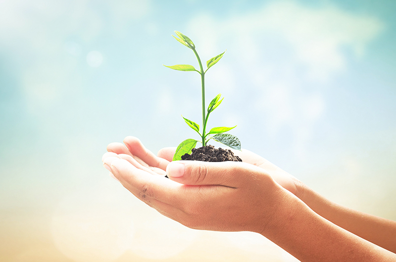 Merck presents new sustainability strategy