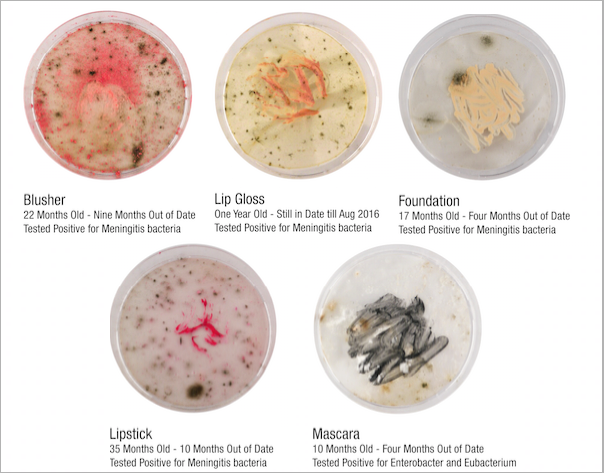 Bacteria growing in several types of cosmetics products