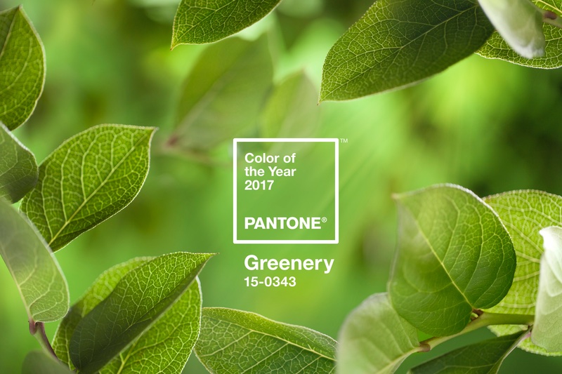 Pantone announces colour of the year 2017