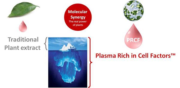 Phyture Biotech's Ecocert 3 angle brightening strategy