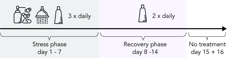 Scheme of the clinical study design