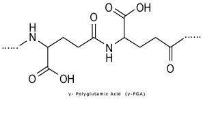 SilkyGel