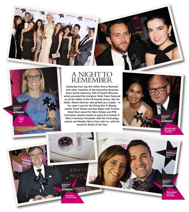 The Cosmetics Business Innovation Awards 2013