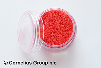 TRENDS: Jennifer Hermitage and Ella Ceraulo of Cornelius Cosmetics lead the discussion
