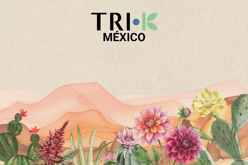 TRI-K Industries Launches Mexico City Subsidiary to Anchor Latin American Growth