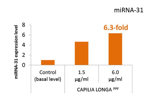 Vytrus Biotech unveils Capilia Longa – the hair 3D Bio-printer