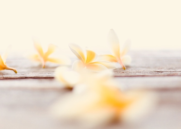 Aveda champions transparency with beauty’s ‘largest scale’ blockchain programme 