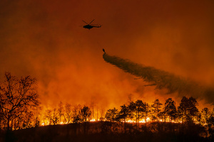 Beauty founders left ‘heartbroken’ by LA wildfires