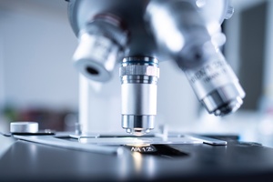 Beiersdorf accelerates active ingredients research using AI technology  