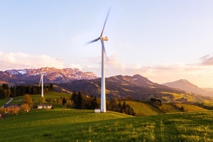 Beiersdorf makes switch to green energy
