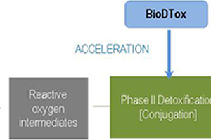 BioDTox – A Skin Relaxer by Detoxification