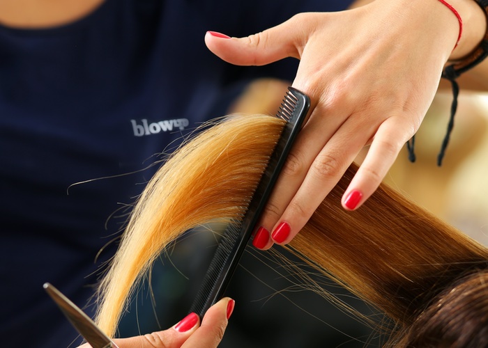 Blow LTD brings hair salons home with new service