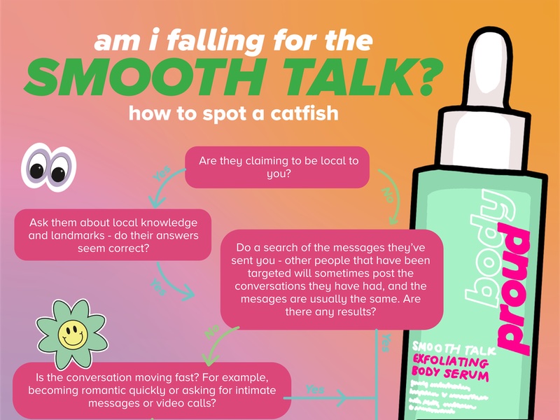 A snippet from the Am I Falling For The Smooth Talk Catfishing Guide