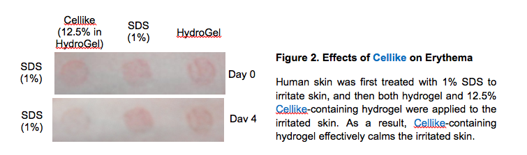 Cellike Skin Lipid Mimicker for Natural Emulsifier